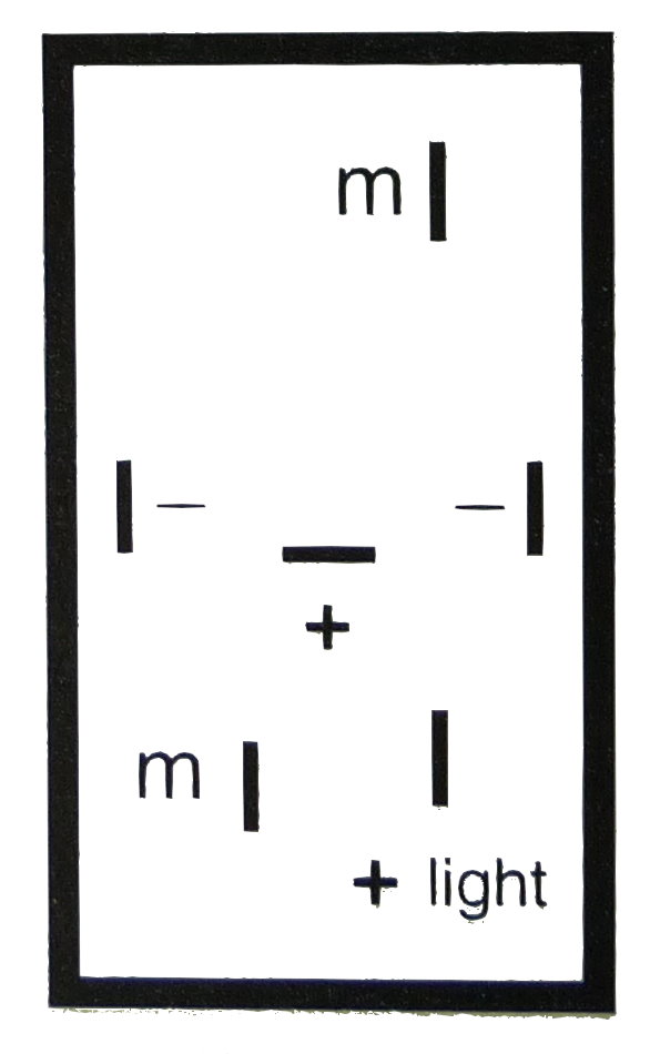 ALBACH - Schalter für elektr. Fensterheber 12 Volt universell verwendbar  mit Serien-Rahmen Typ 017