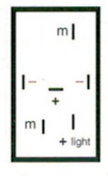 Kabelsatz passend für 4 Schalter m. 6 Kontakten u.getr.Bel.u.4 Kombistecker